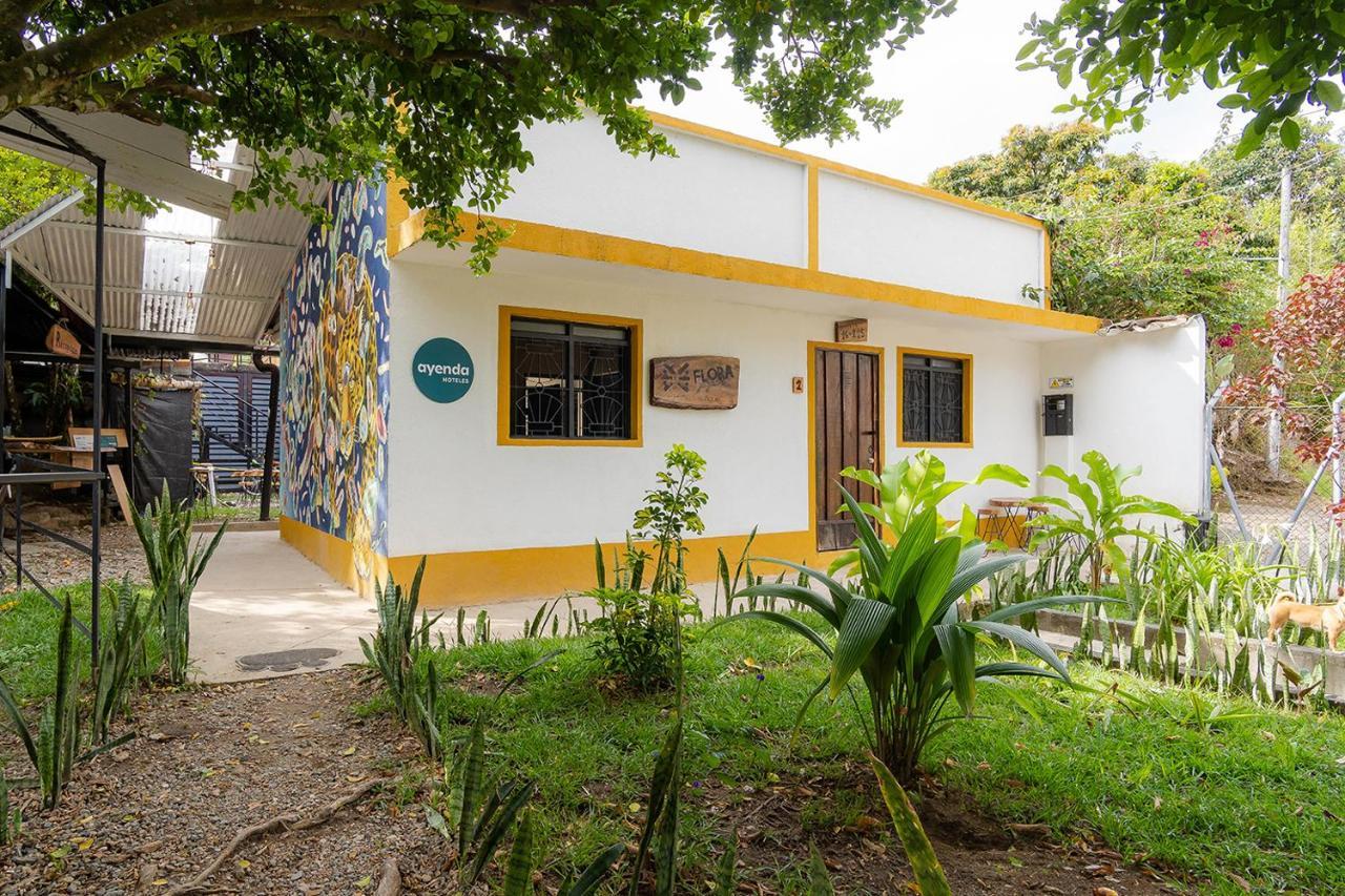 Ayenda Flora Jaguar Acomodação com café da manhã Ibagué Exterior foto